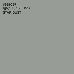 #989C97 - Star Dust Color Image